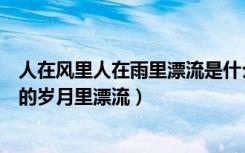 人在风里人在雨里漂流是什么歌（人在风里人在雨里人在爱的岁月里漂流）