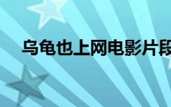 乌龟也上网电影片段（乌龟也上网电影）