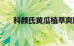 科颜氏黄瓜植萃爽肤水（kiehls官网）