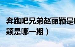 奔跑吧兄弟赵丽颖是哪一季（奔跑吧兄弟赵丽颖是哪一期）