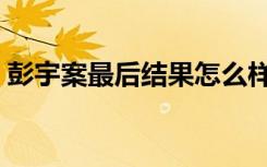 彭宇案最后结果怎么样了（彭宇案最终结果）