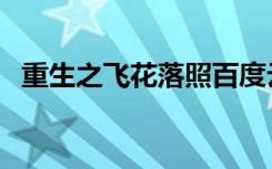 重生之飞花落照百度云（重生之飞花落照）