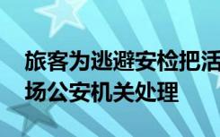 旅客为逃避安检把活蜗牛藏嘴里 已被移交机场公安机关处理