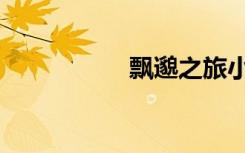 飘邈之旅小说（飘邈）