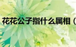 花花公子指什么属相（花花公子指什么生肖）