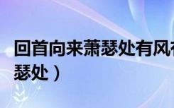 回首向来萧瑟处有风有雨也有晴（回首向来萧瑟处）