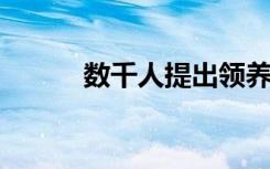 数千人提出领养叙利亚奇迹宝宝