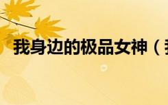我身边的极品女神（我身边的极品美女们）