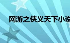 网游之侠义天下小说（网游之侠义天下）