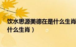 饮水思源美德在是什么生肖精准答案?（饮水思源美德在是什么生肖）
