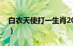白衣天使打一生肖2021（白衣天使打一生肖）