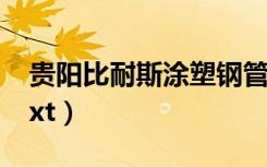 贵阳比耐斯涂塑钢管制作风格（雇佣兵女神txt）
