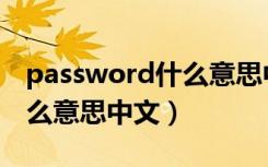 password什么意思中文名字（password什么意思中文）