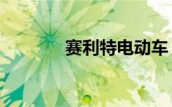 赛利特电动车（赛利亚好感）