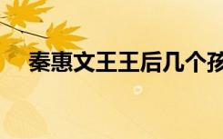 秦惠文王王后几个孩子（秦惠文王王后）