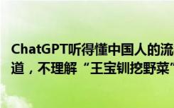 ChatGPT听得懂中国人的流行梗吗？“躺平”“摆烂”都知道，不理解“王宝钏挖野菜”