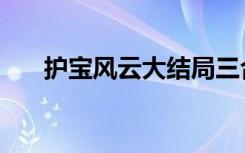护宝风云大结局三合之死（护宝剑魔）