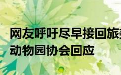 网友呼吁尽早接回旅美大熊猫“丫丫”，中国动物园协会回应