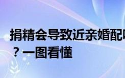捐精会导致近亲婚配吗？“捐精致富”靠谱吗？一图看懂