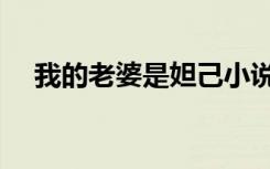 我的老婆是妲己小说（我的老婆是人妖）