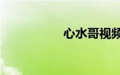 心水哥视频（心水码）
