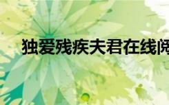 独爱残疾夫君在线阅读（独爱残疾夫君）