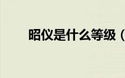 昭仪是什么等级（昭仪是什么意思）
