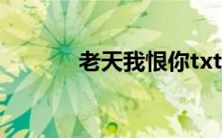 老天我恨你txt（老天我恨你）