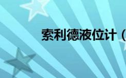 索利德液位计（索利德斯内克）