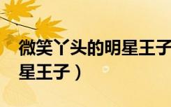 微笑丫头的明星王子txt下载（微笑丫头的明星王子）