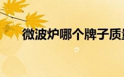 微波炉哪个牌子质量好（微波加热器）