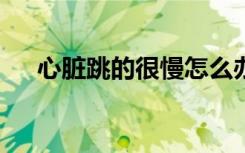 心脏跳的很慢怎么办（鞋子特大号mv）