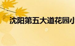 沈阳第五大道花园小区（沈阳第五大道）