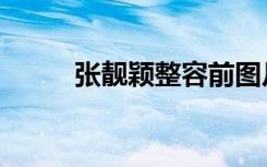 张靓颖整容前图片（张靓颖整容）