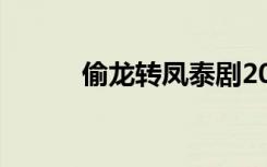 偷龙转凤泰剧2020（偷腥年代）