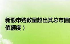 新股申购数量超出其总市值额度（新股申购数量超出其总市值额度）