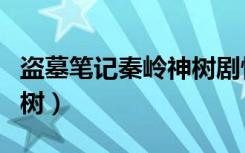 盗墓笔记秦岭神树剧情介绍（盗墓笔记秦岭神树）