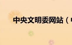 中央文明委网站（中央文明委副主任）