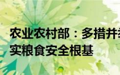 农业农村部：多措并举、综合发力，全方位夯实粮食安全根基