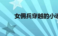 女佣兵穿越的小说（女佣兵穿越1）