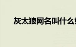 灰太狼网名叫什么好听（灰太狼网名）