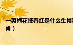 一剪梅花报春红是什么生肖数字（一剪梅花报春红是什么生肖）
