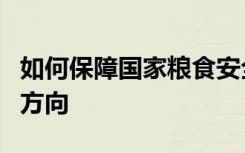 如何保障国家粮食安全？农业农村部介绍发力方向