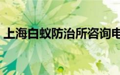 上海白蚁防治所咨询电话（上海白蚁防治所）