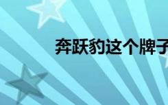 奔跃豹这个牌子怎么样（奔跃）