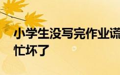小学生没写完作业谎称被绑架 可把警察叔叔忙坏了