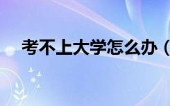 考不上大学怎么办（考不上大学怎么办）