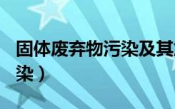 固体废弃物污染及其危害ppt（固体废弃物污染）