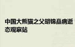 中国大熊猫之父胡锦矗病逝 曾建立世界第一个大熊猫野外生态观察站