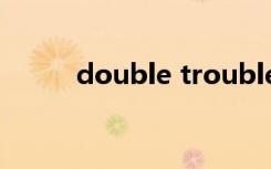 double trouble（doublebed）
